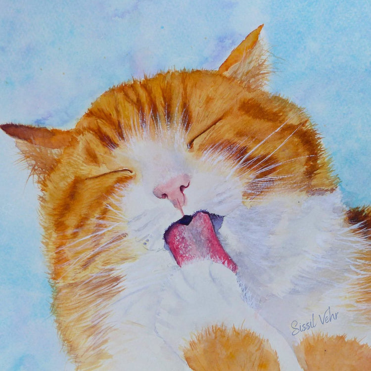 Chats - Sissil Vehr  Aquarelle