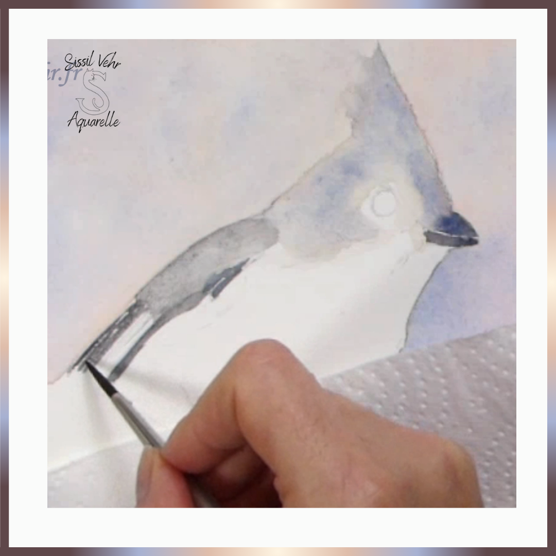 Comment peindre une mésange bicolore à l'aquarelle, tutoriel aquarelle d’un oiseau, apprenez à peindre en ligne