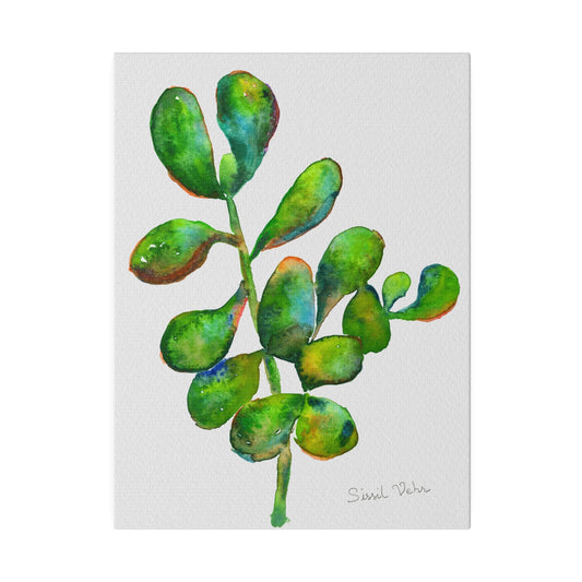 Watercolor art print: Succulent