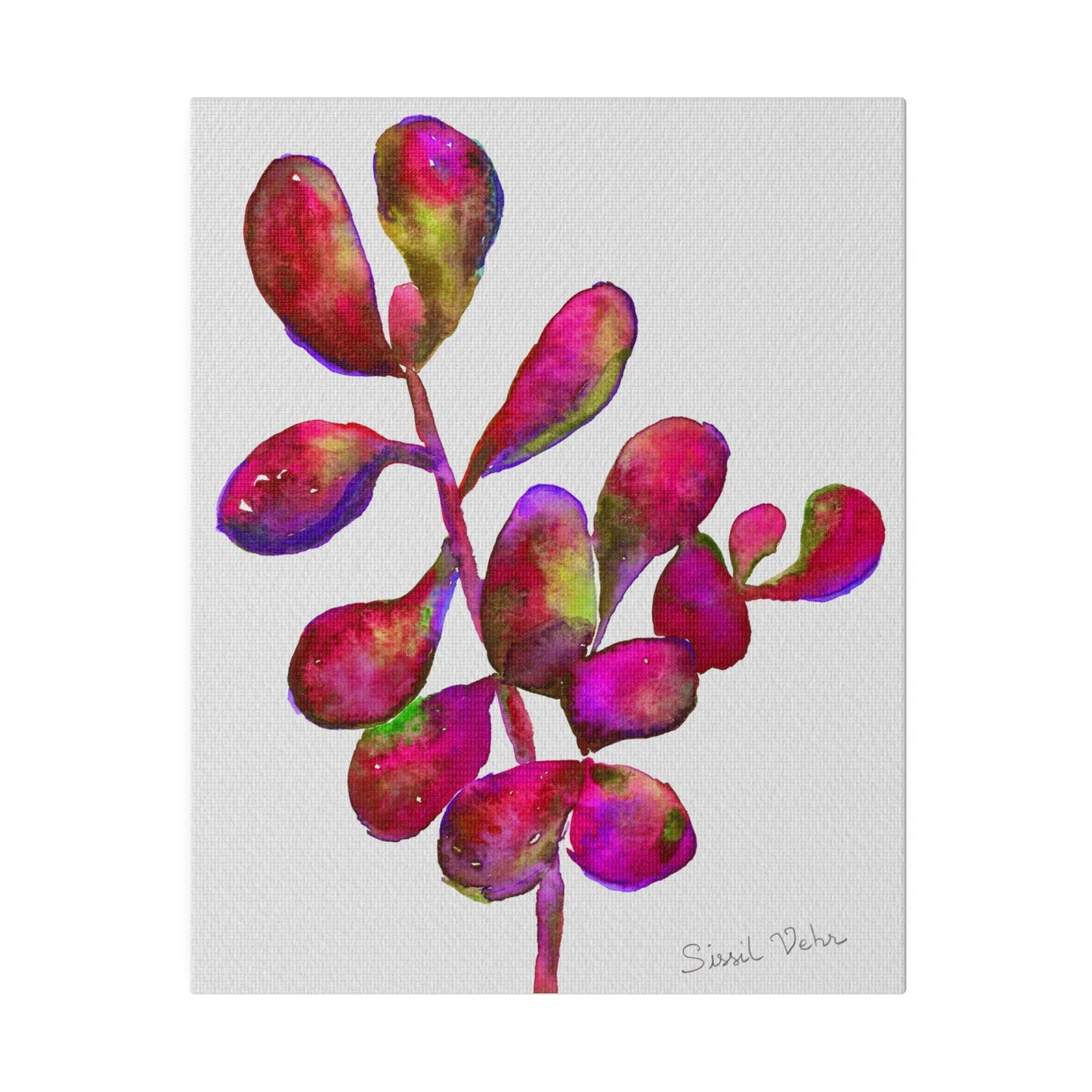 Impression d'art : Aquarelle  Succulente rouge