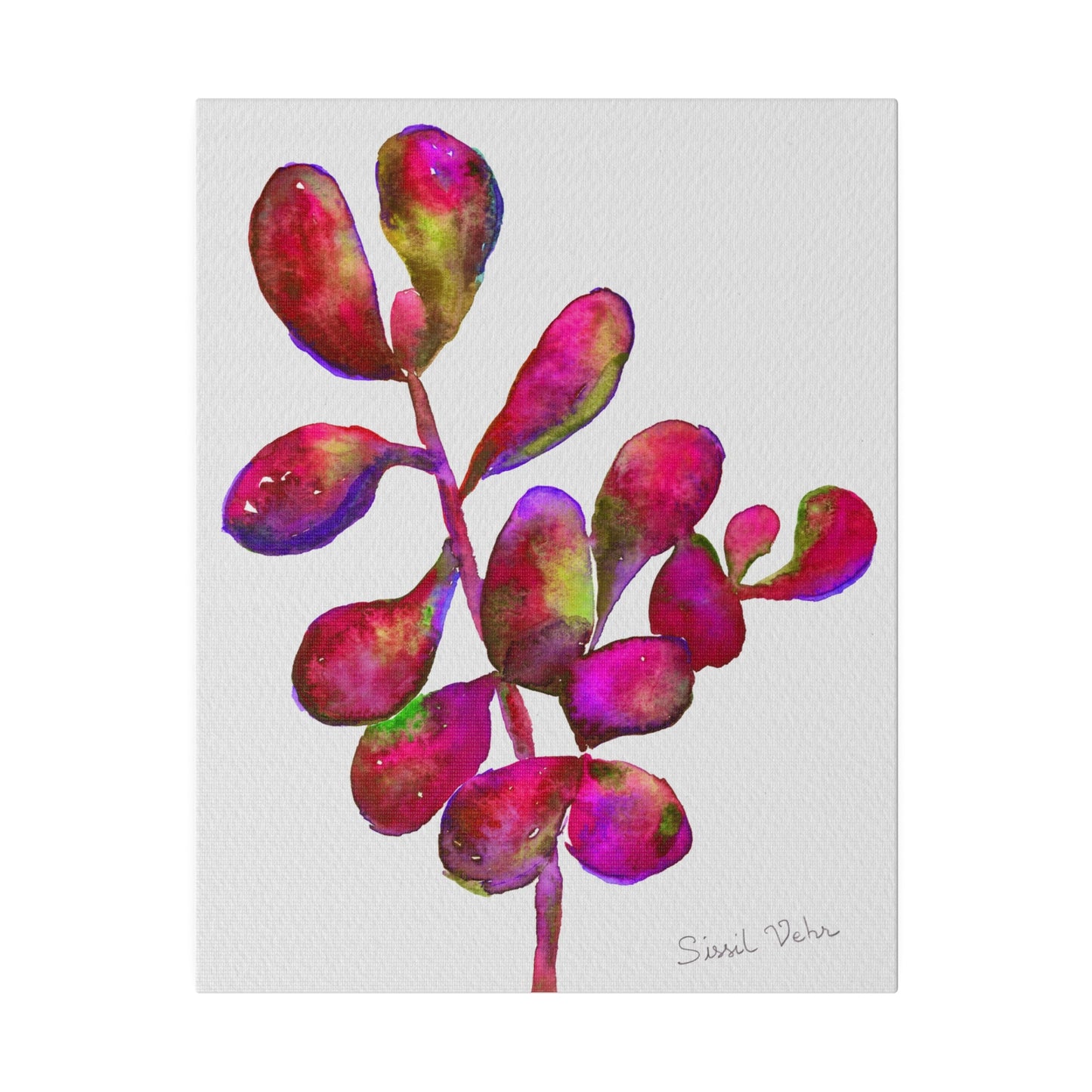 Impression d'art : Aquarelle  Succulente rouge