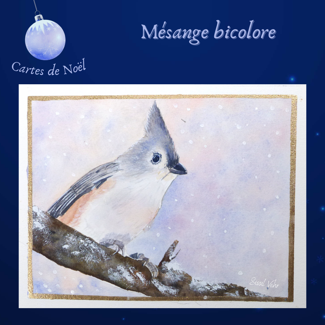 Comment peindre une mésange bicolore à l'aquarelle, tutoriel aquarelle d’un oiseau, apprenez à peindre en ligne