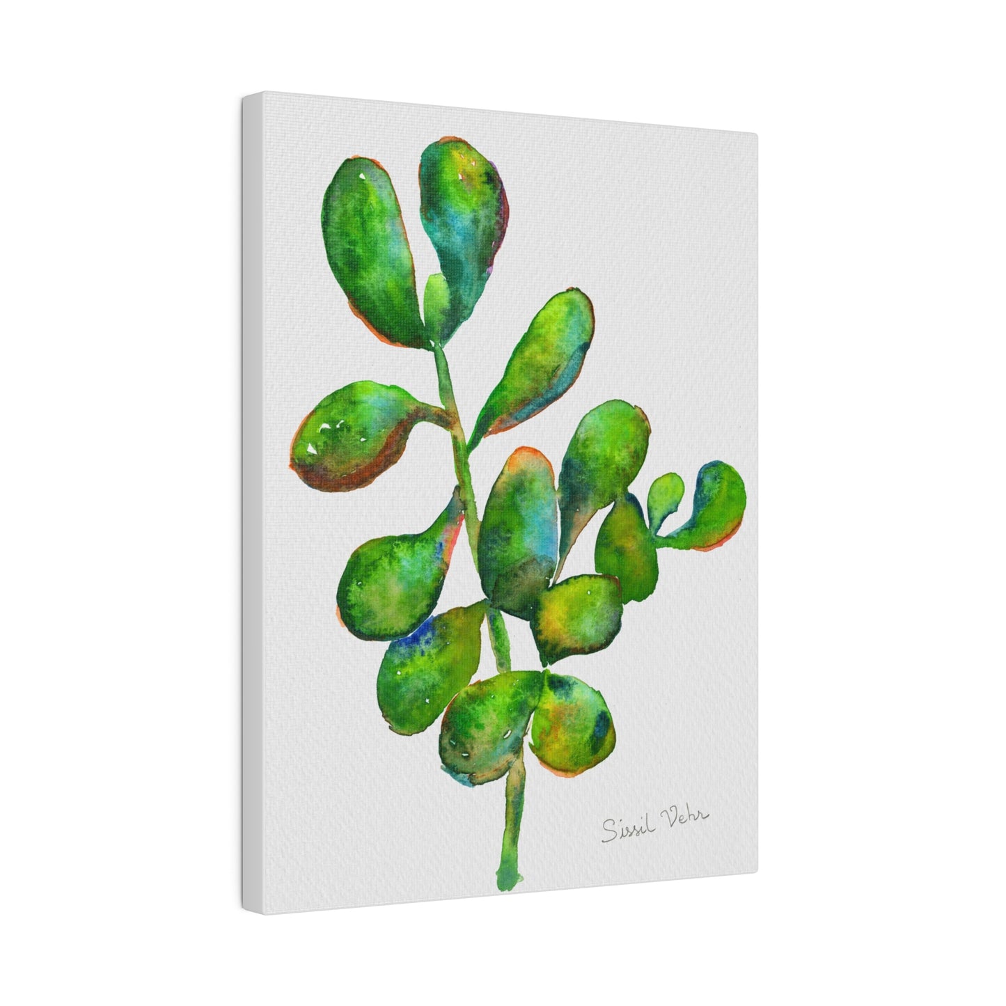 Impression d'art Aquarelle : Succulente