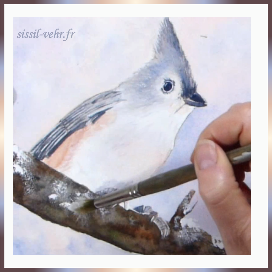 Comment peindre une mésange bicolore à l'aquarelle, tutoriel aquarelle d’un oiseau, apprenez à peindre en ligne