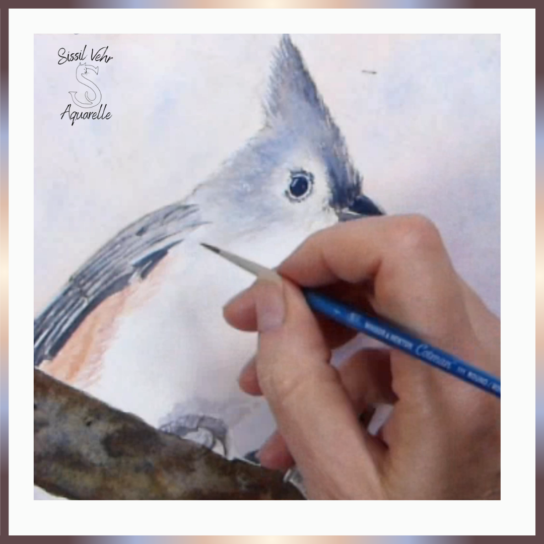 Comment peindre une mésange bicolore à l'aquarelle, tutoriel aquarelle d’un oiseau, apprenez à peindre en ligne