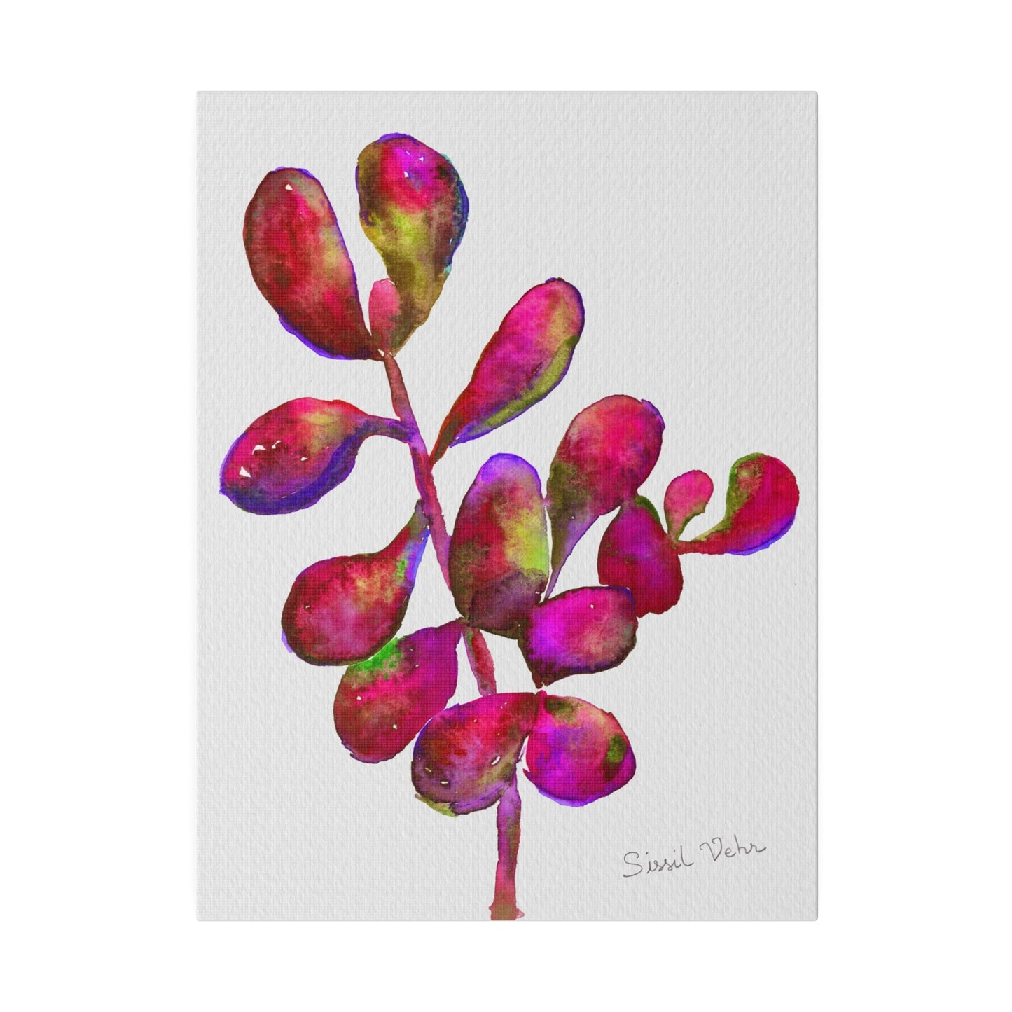 Impression d'art : Aquarelle  Succulente rouge