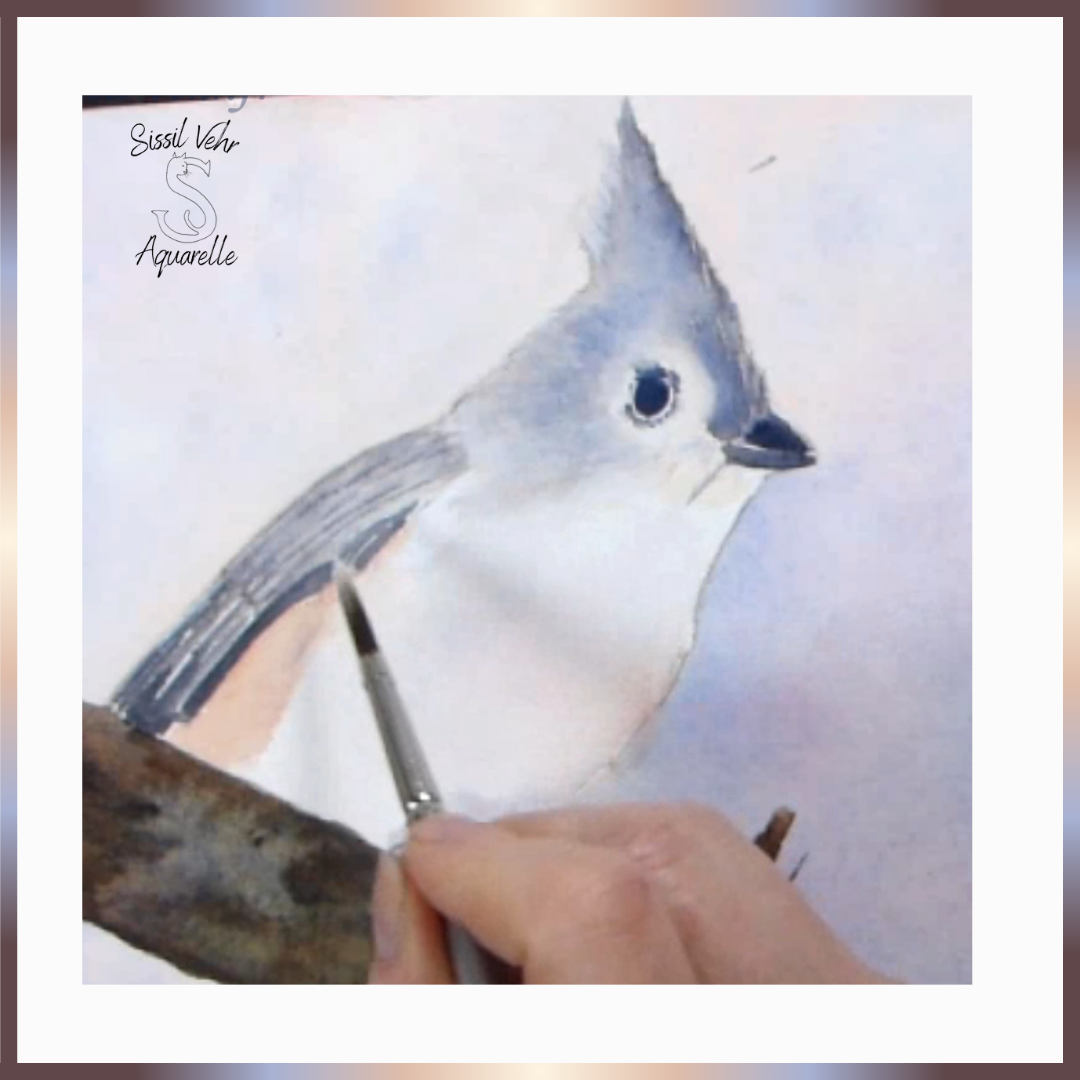 Comment peindre une mésange bicolore à l'aquarelle, tutoriel aquarelle d’un oiseau, apprenez à peindre en ligne