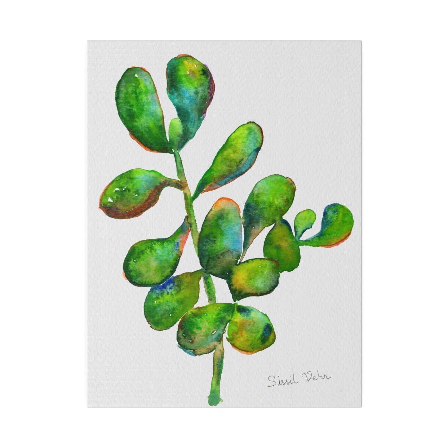 Impression d'art Aquarelle : Succulente