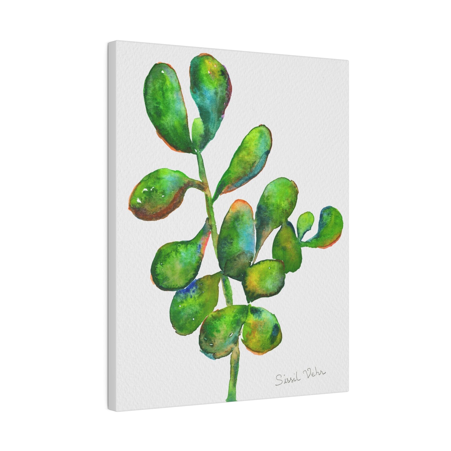 Impression d'art Aquarelle : Succulente