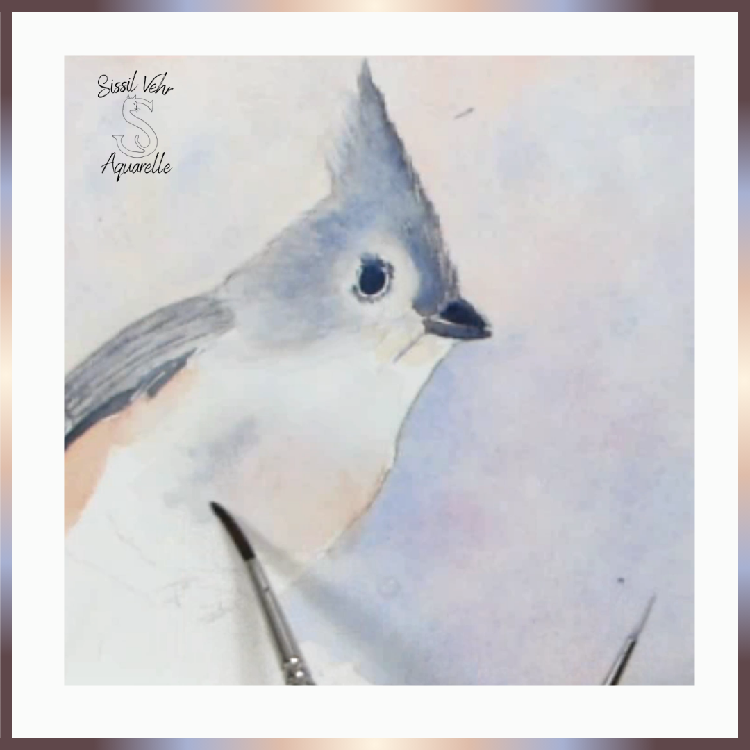 Comment peindre une mésange bicolore à l'aquarelle, tutoriel aquarelle d’un oiseau, apprenez à peindre en ligne