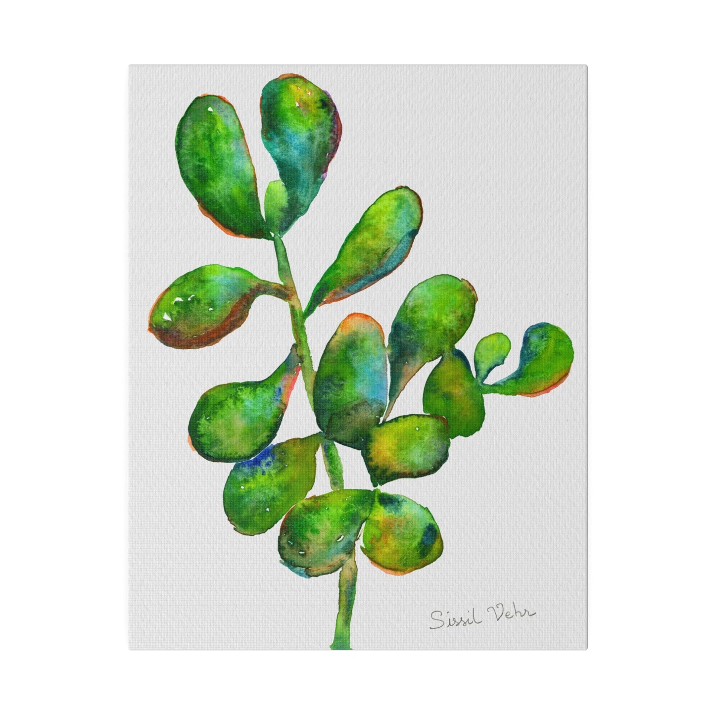 Impression d'art Aquarelle : Succulente