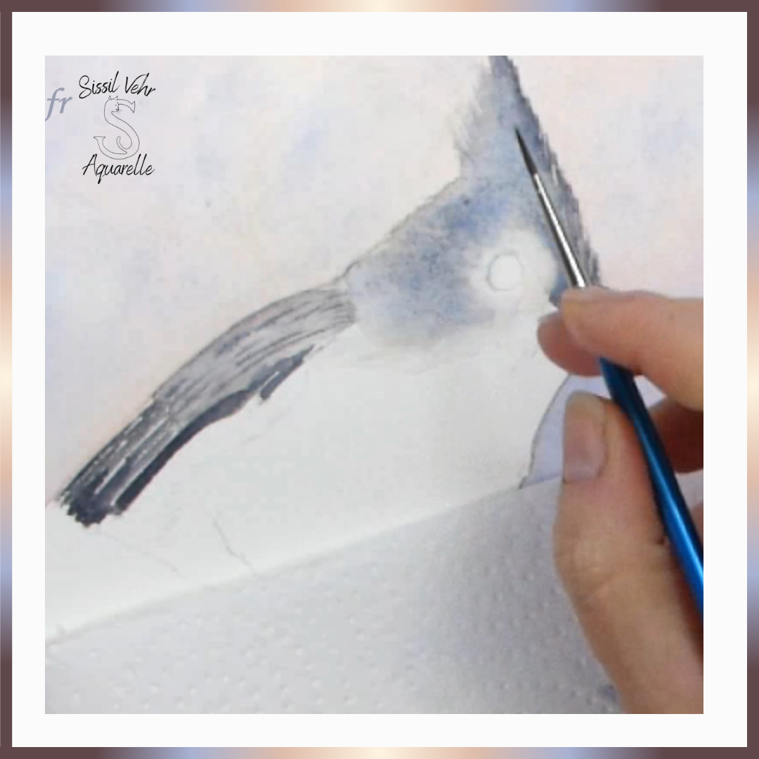 Comment peindre une mésange bicolore à l'aquarelle, tutoriel aquarelle d’un oiseau, apprenez à peindre en ligne