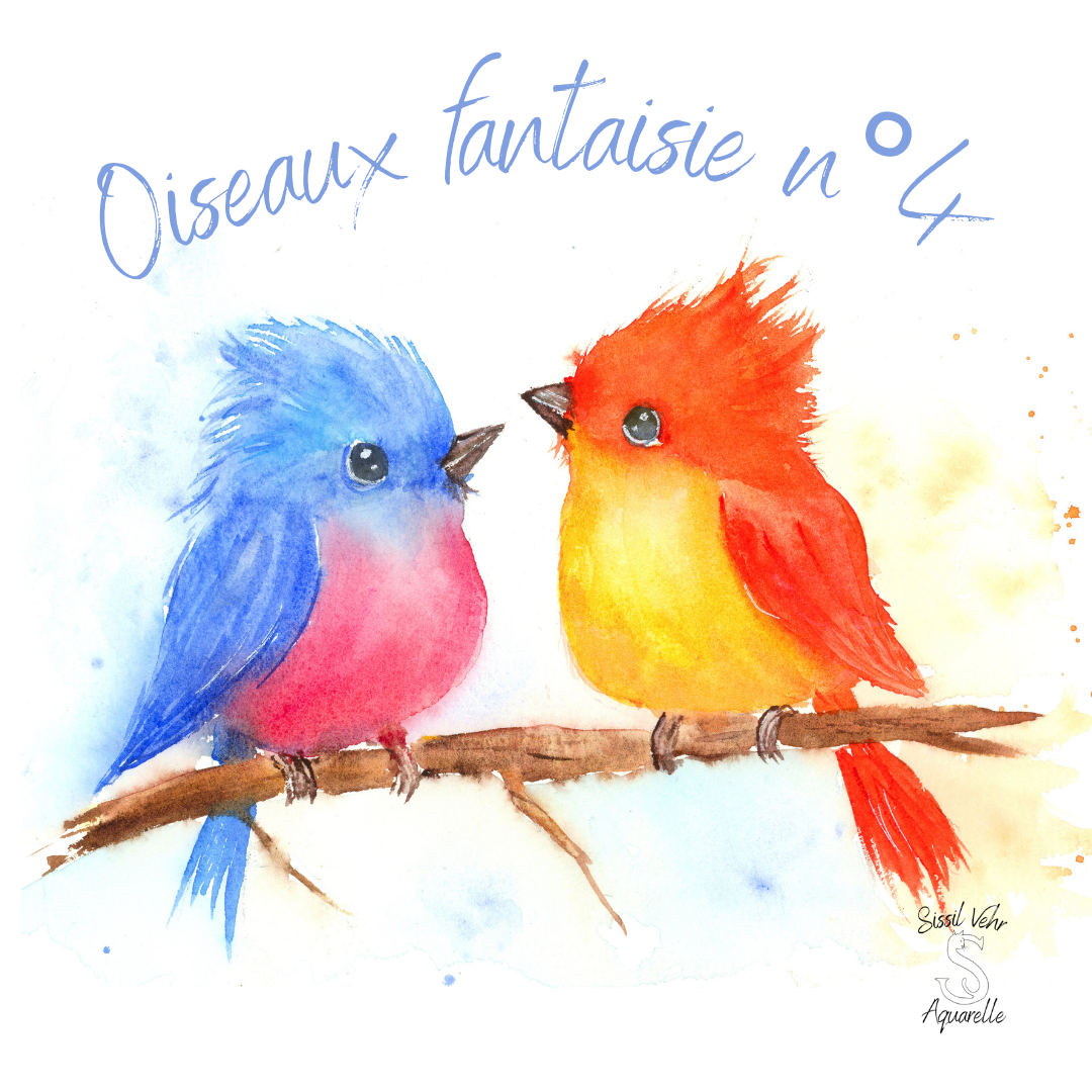 Oiseaux Fantaisie n°5 Tyco et Pluma, deux oiseaux sur une branche, couleurs bleu, rose et orange. Thème de l'amitié.