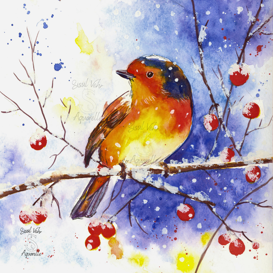 Aquarelle d'un Rouge-gorge posé sur une branche enneigée avec des baies rouges. Illustration d'hiver avec fort contraste bleu/orangé.