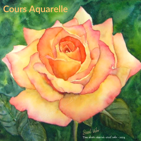 Cours Vidéo Aquarelle Pas à Pas : Peindre une rose |Tutoriel vidéo de 4h10mn - Carnet PDF Inclus |Vidéos d'aquarelle en ligne